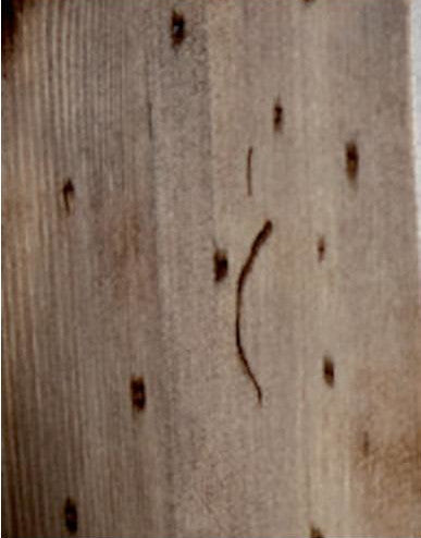 STRUCTURE EN BOIS SUR PIED AVEC MIROIR ET BAIGNOIRE